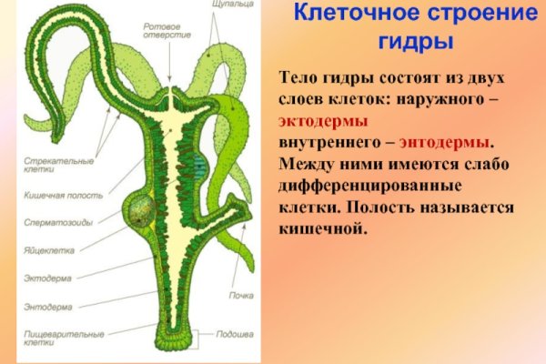 Что можно купить в кракене