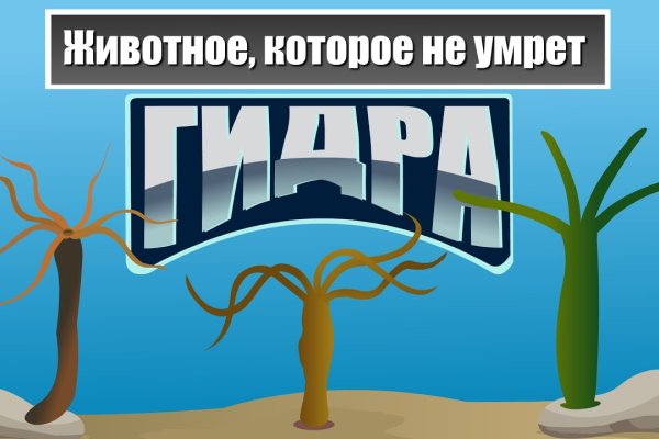 Наркосайт кракен