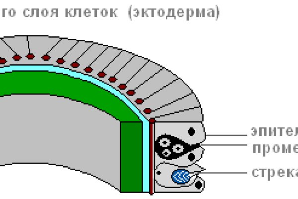 Kraken 14 at сайт