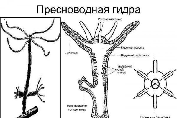 Кракен купить наркоту