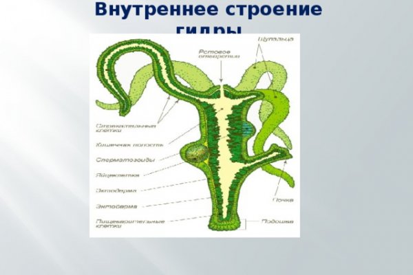 Kraken at сайт